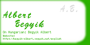 albert begyik business card